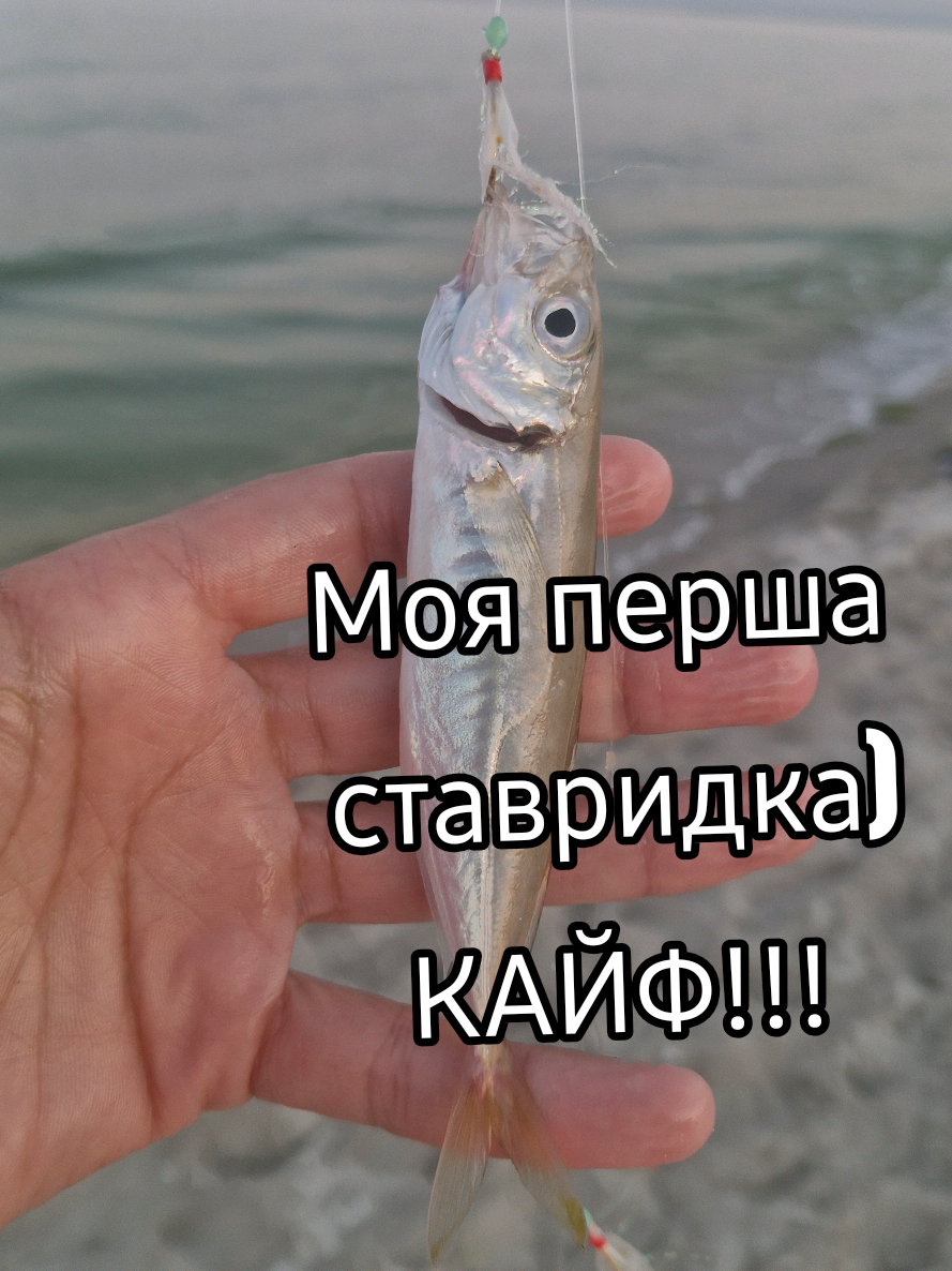 @Вікторія Царенко