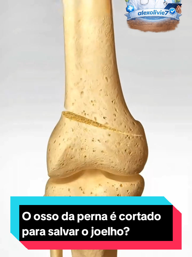 @alexolivie7