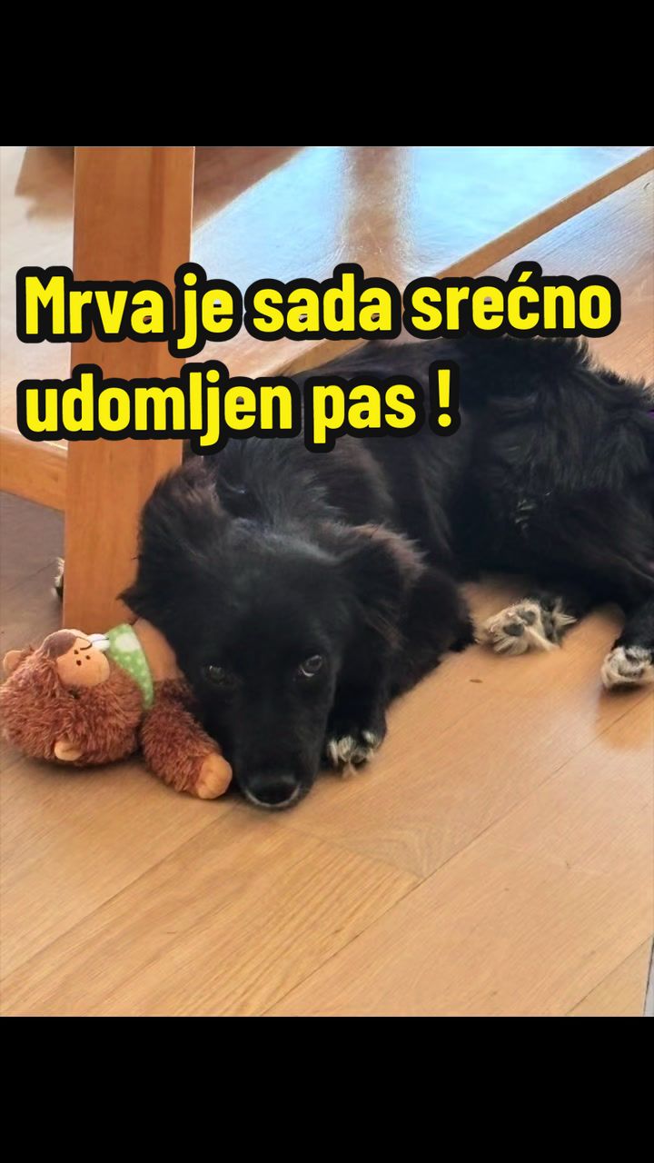 @Maja Kovijanic