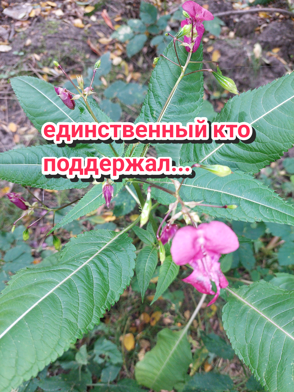 @Рыся✔️🇧🇾
