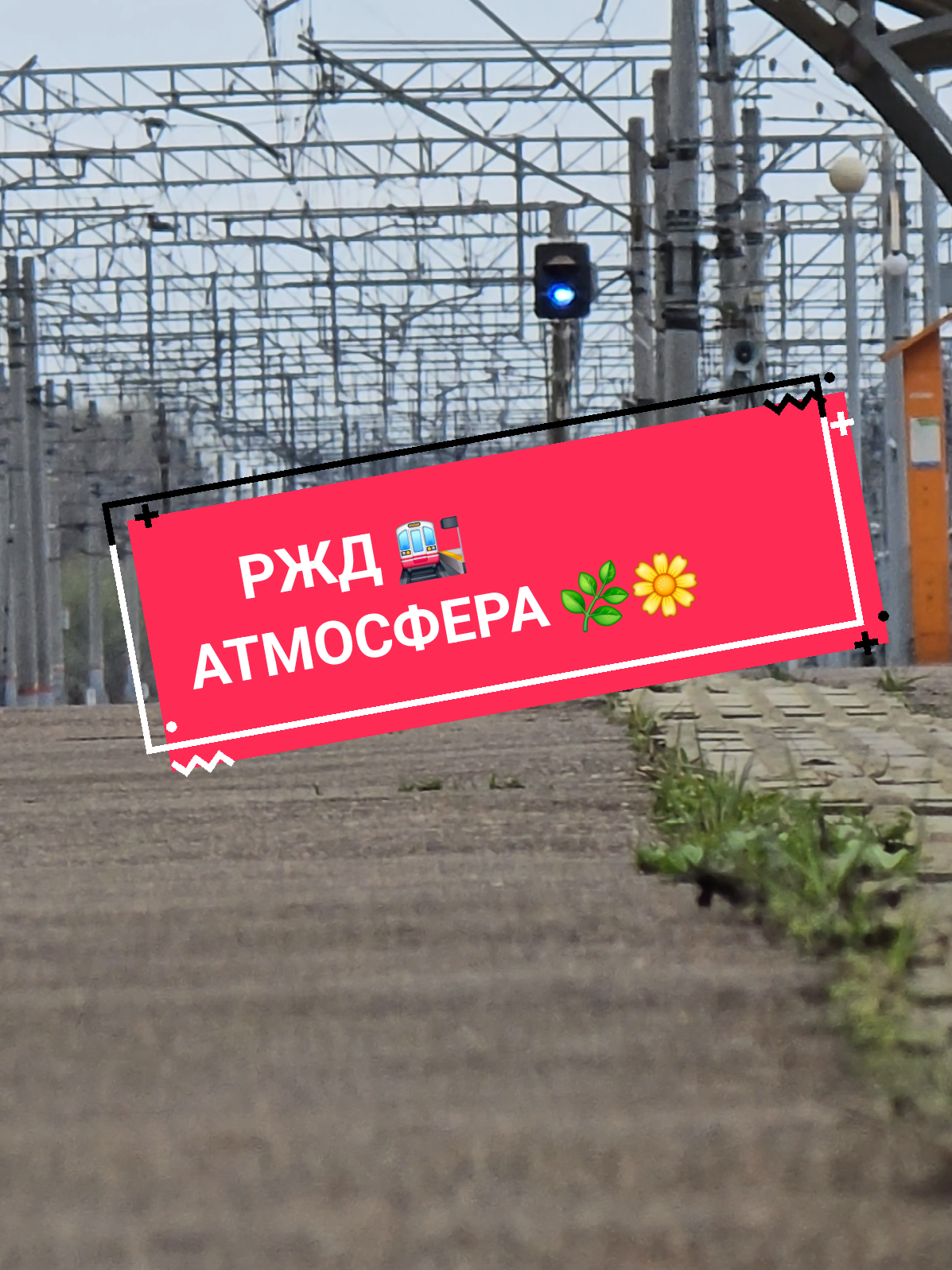 @Дмитрий Шейкин