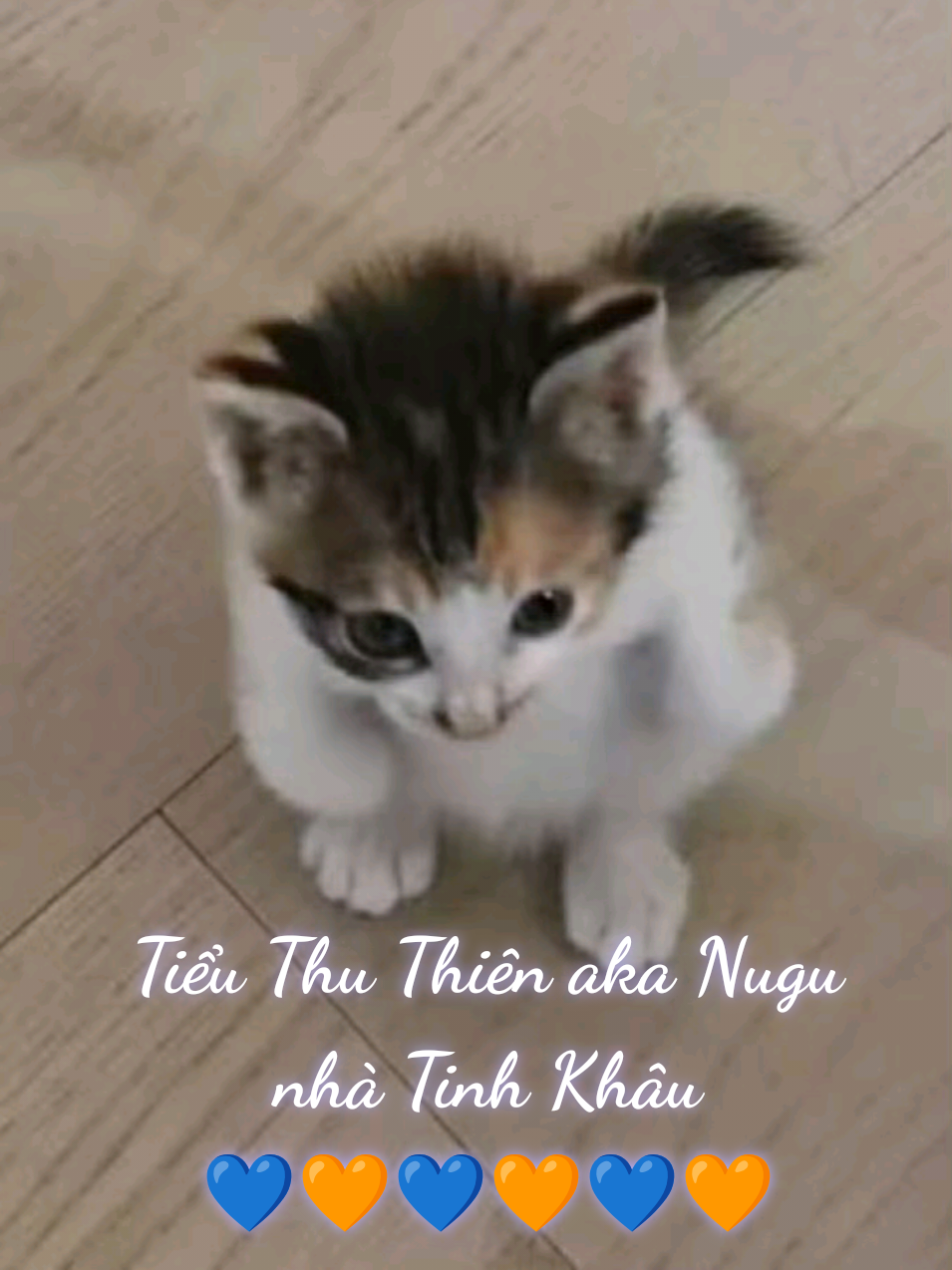 @Anh Alla Ho&agrave;ng