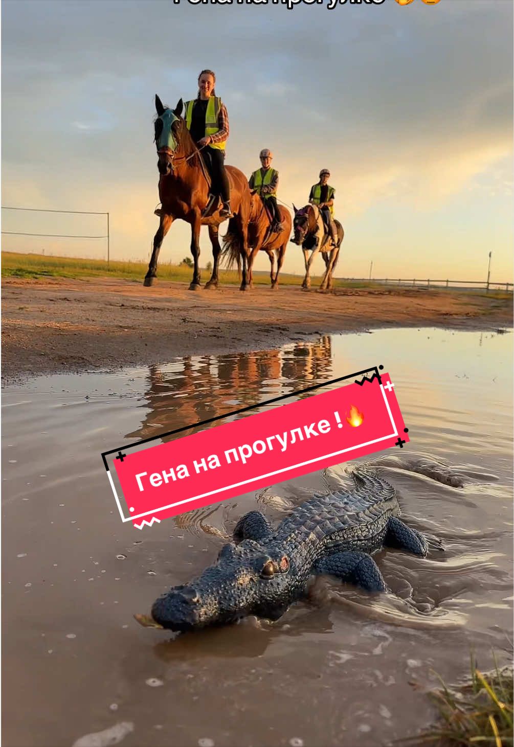 @Анастасия Чернявская.
