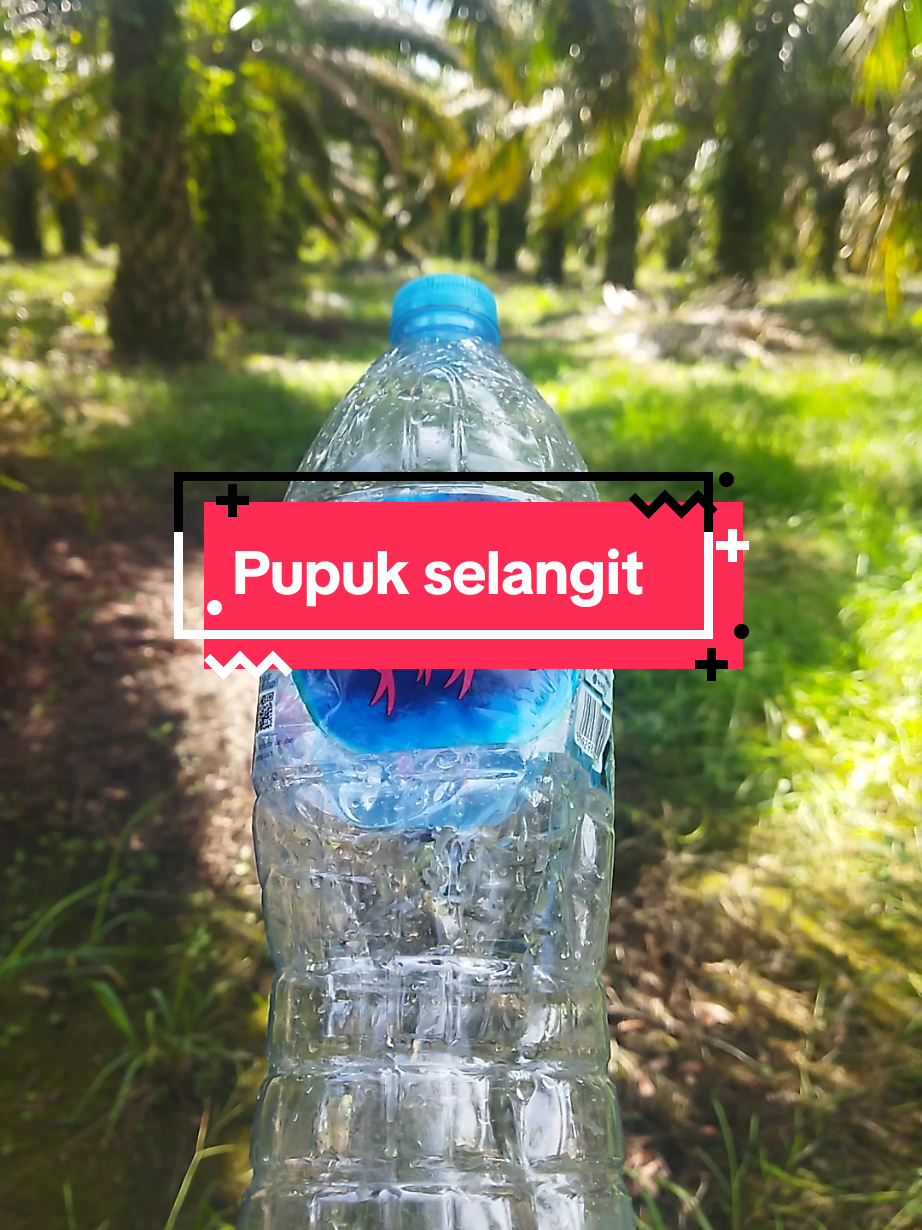 @IG Nusantara