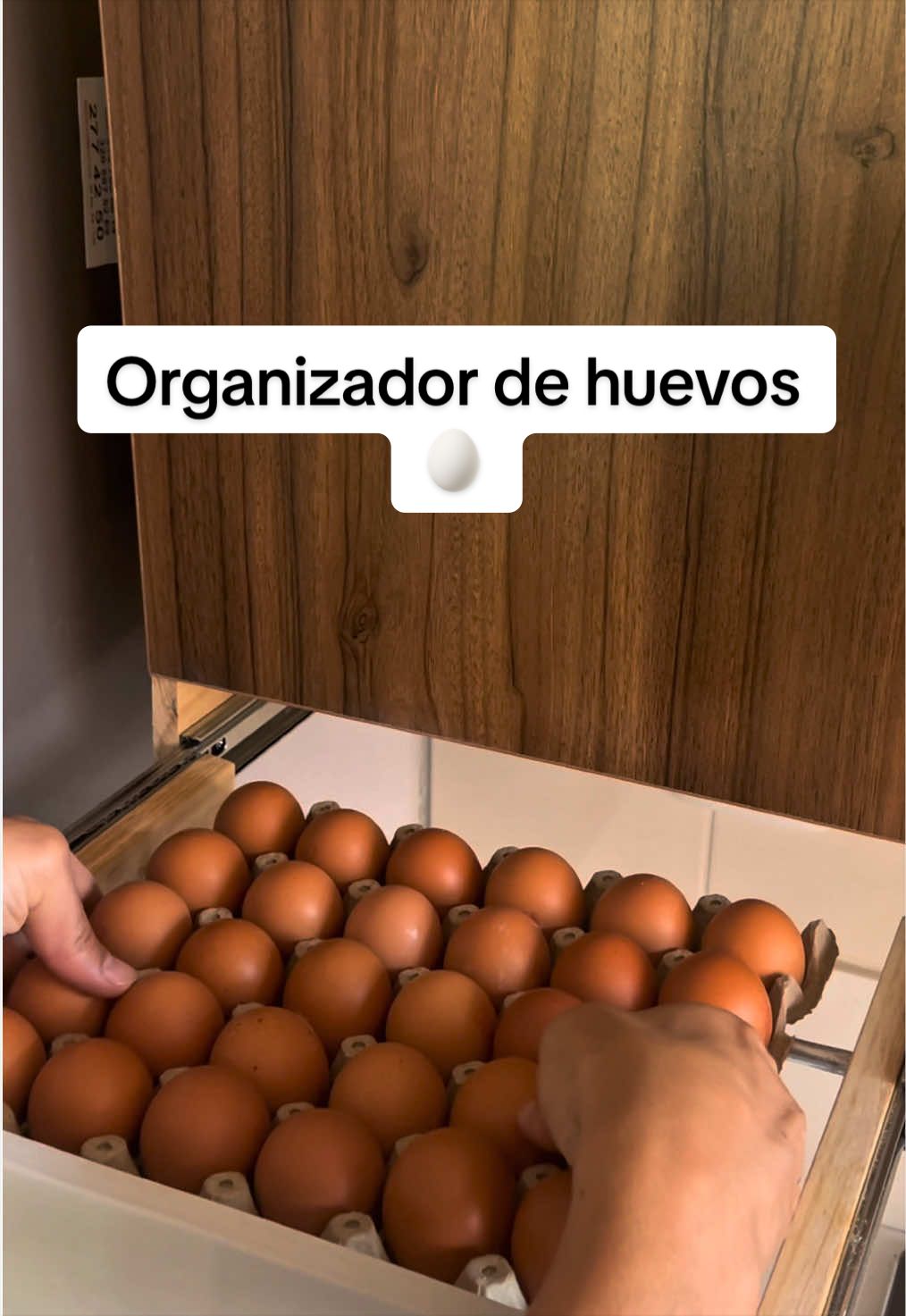 @Camilo Calle