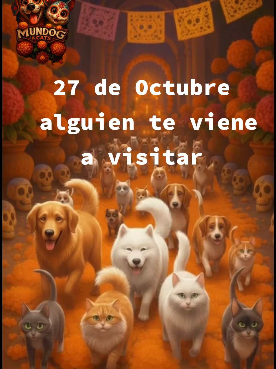 @Mundogycats