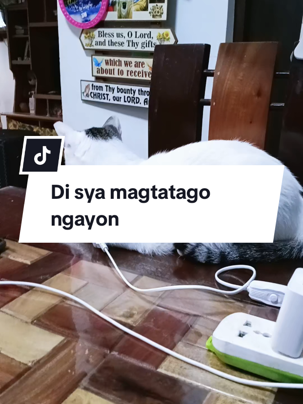 @inday alicia