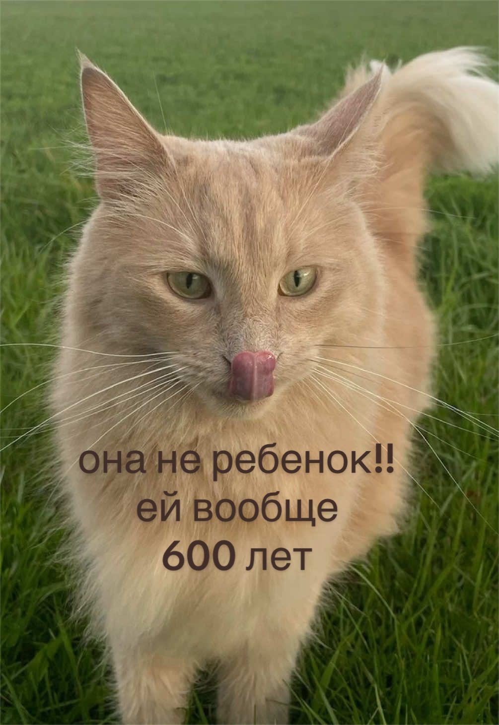 @мамин хep