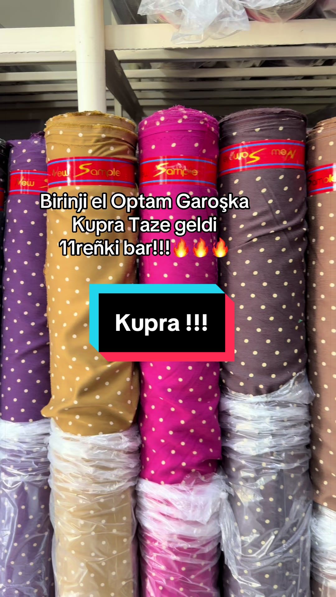 @Birinji el Optam Stapyllar1