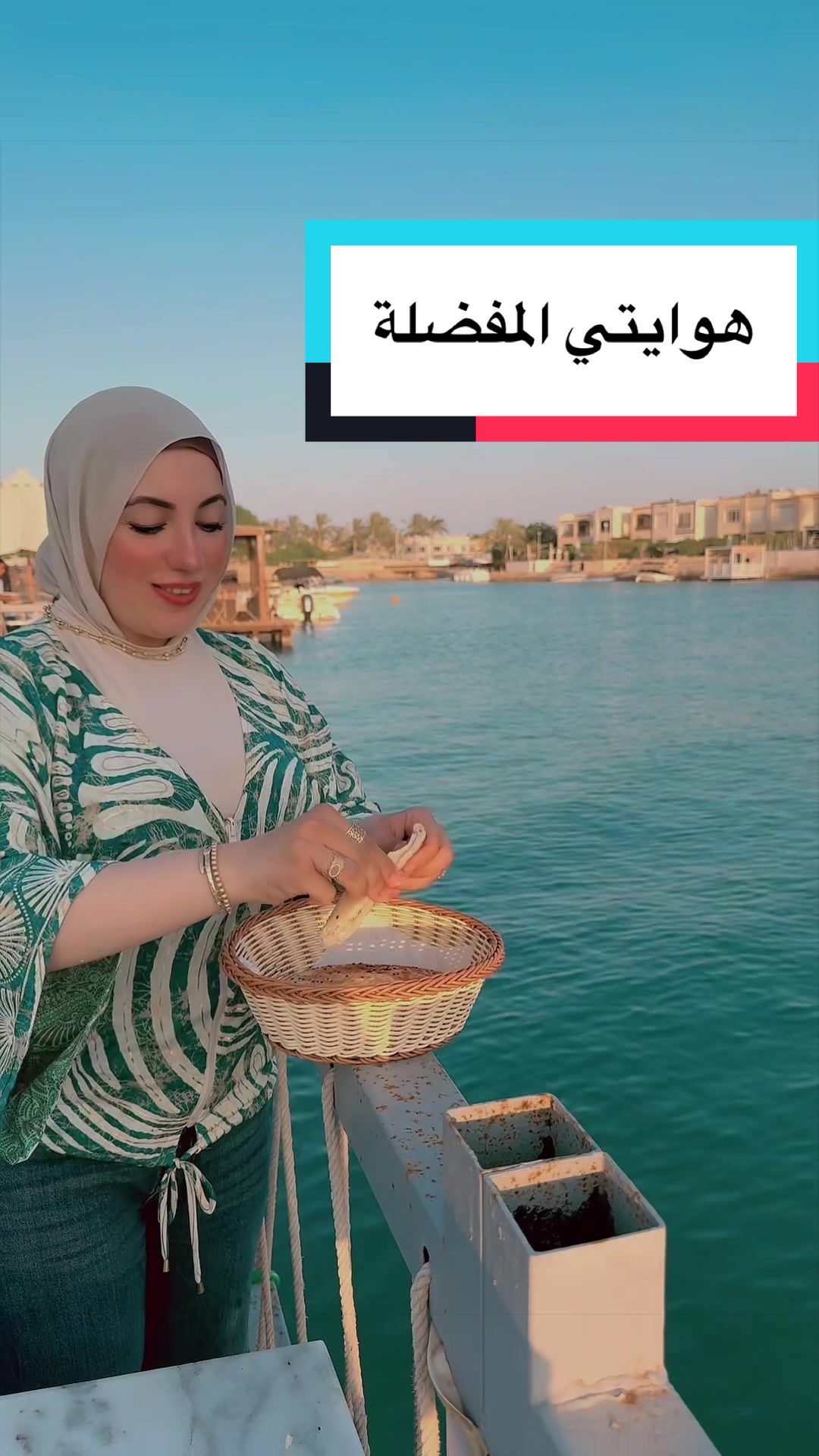 @Dina mandour