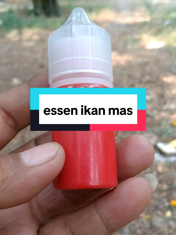@Berkah FS