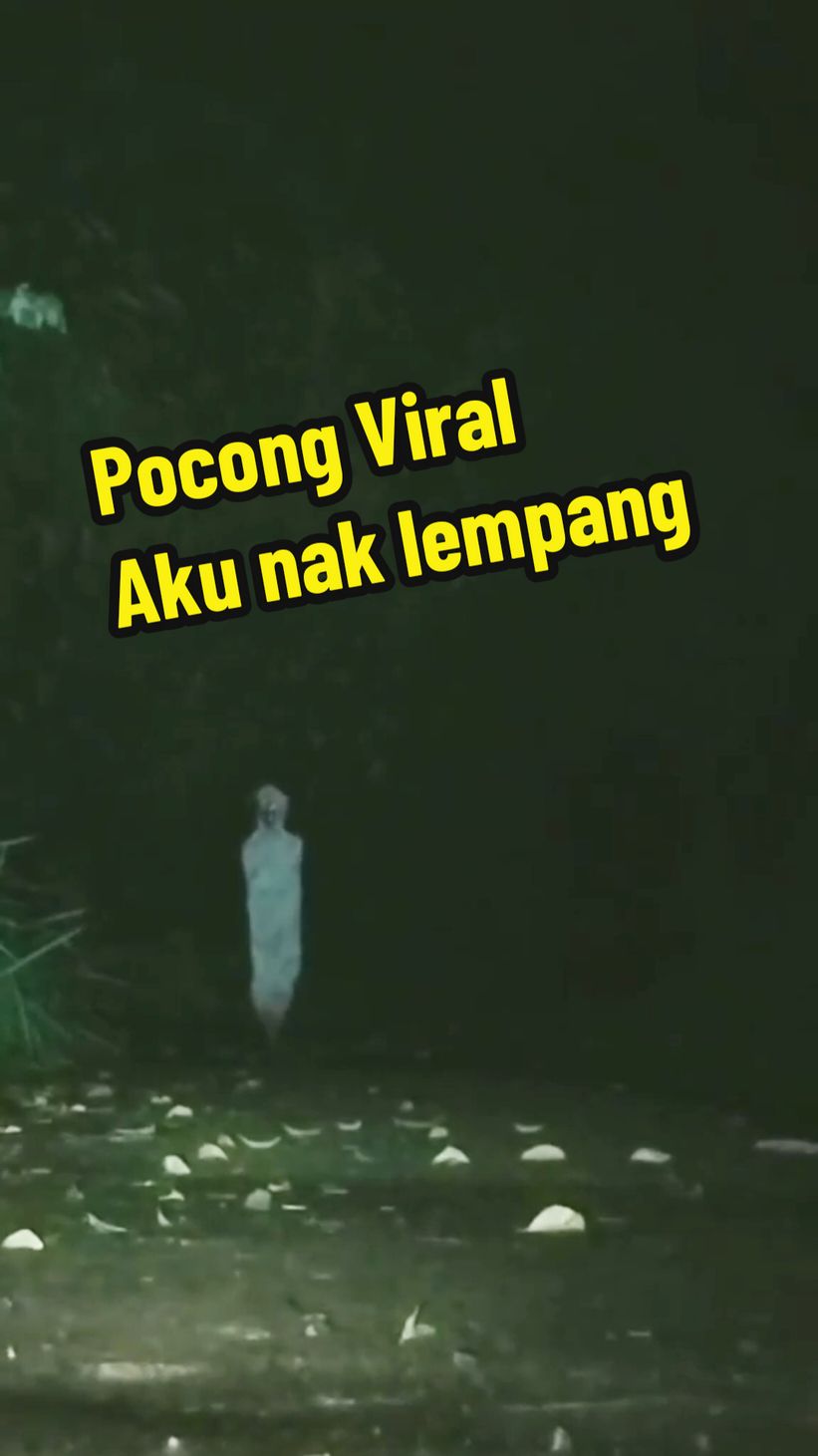 @SoloAmbush