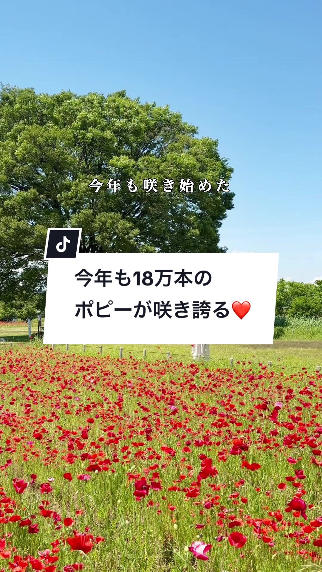 @MIZUKI | 東京おでかけスポット