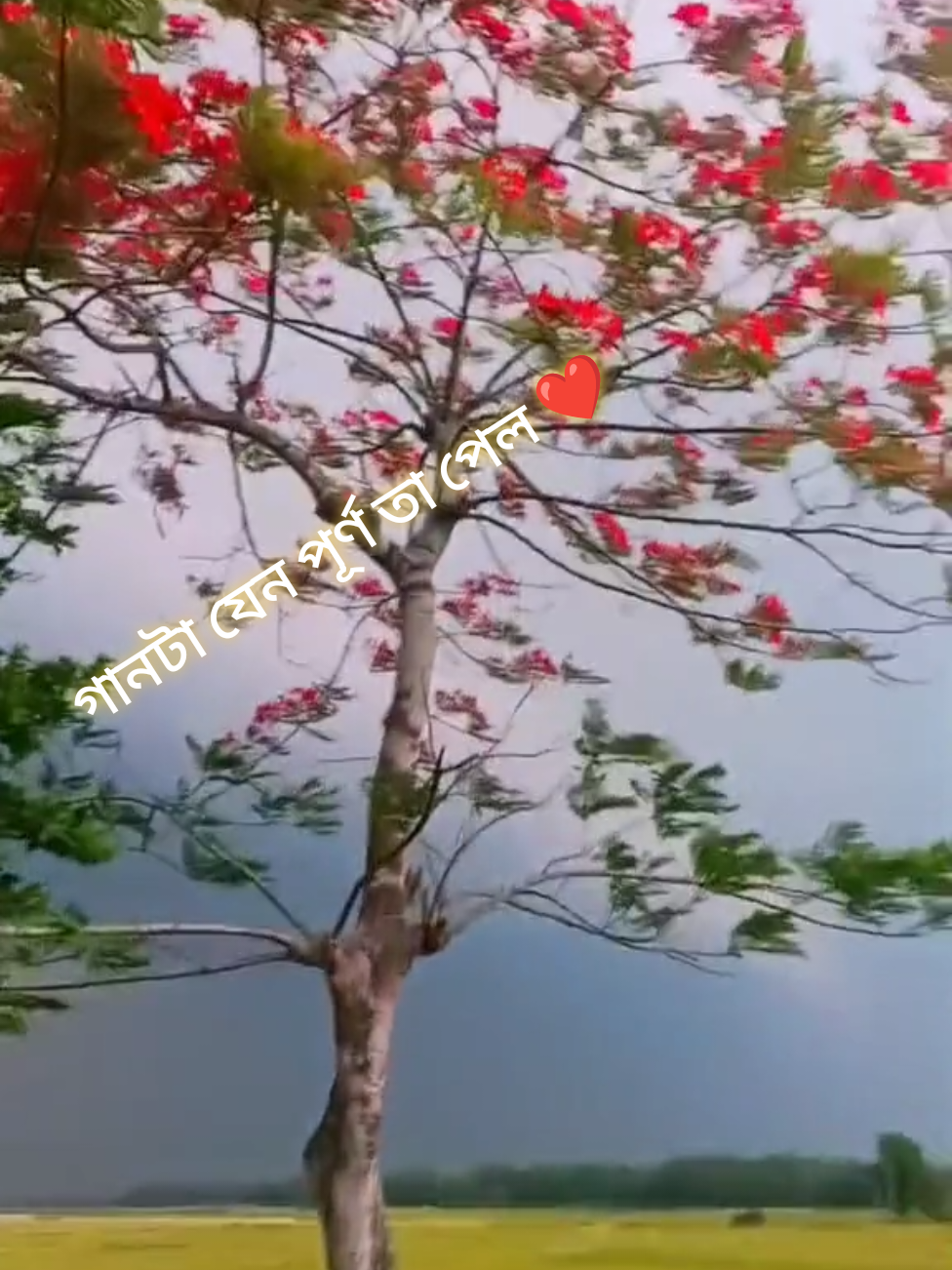 @M_A_H_B_U_B