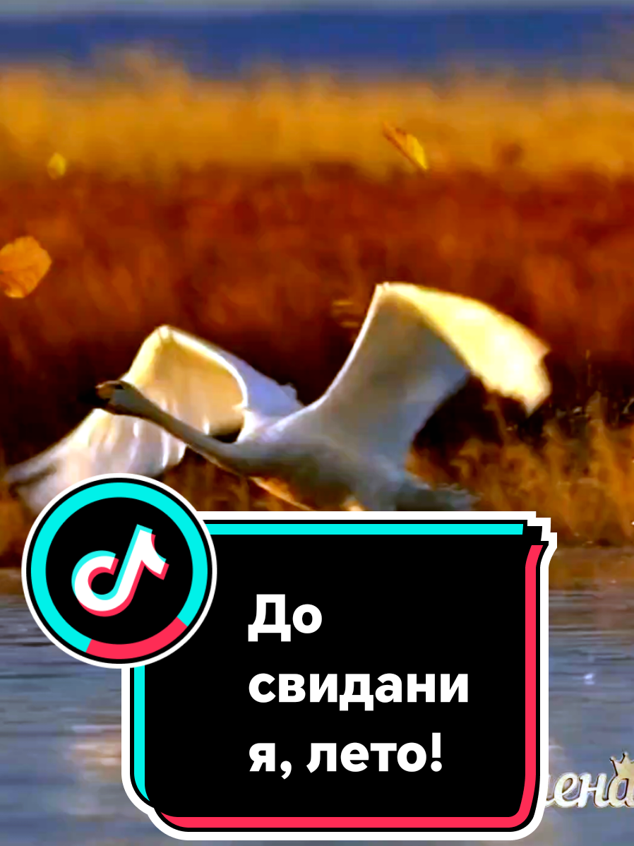 @🌟🔥Елена🔥🌟