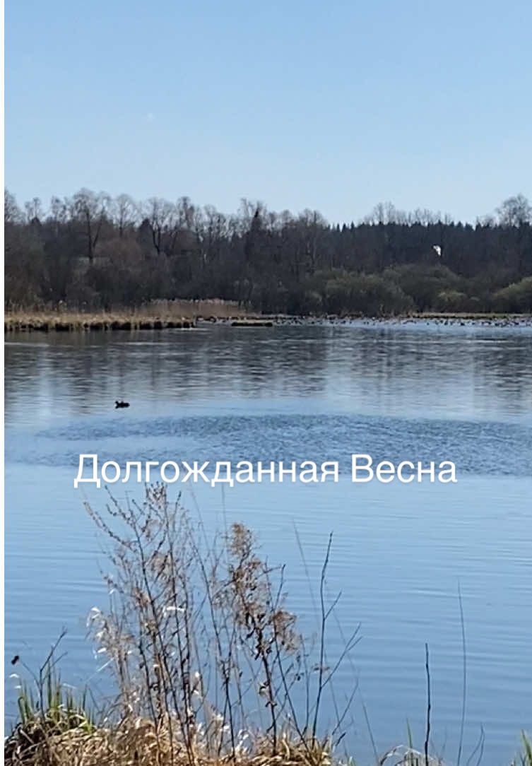 @Ирина