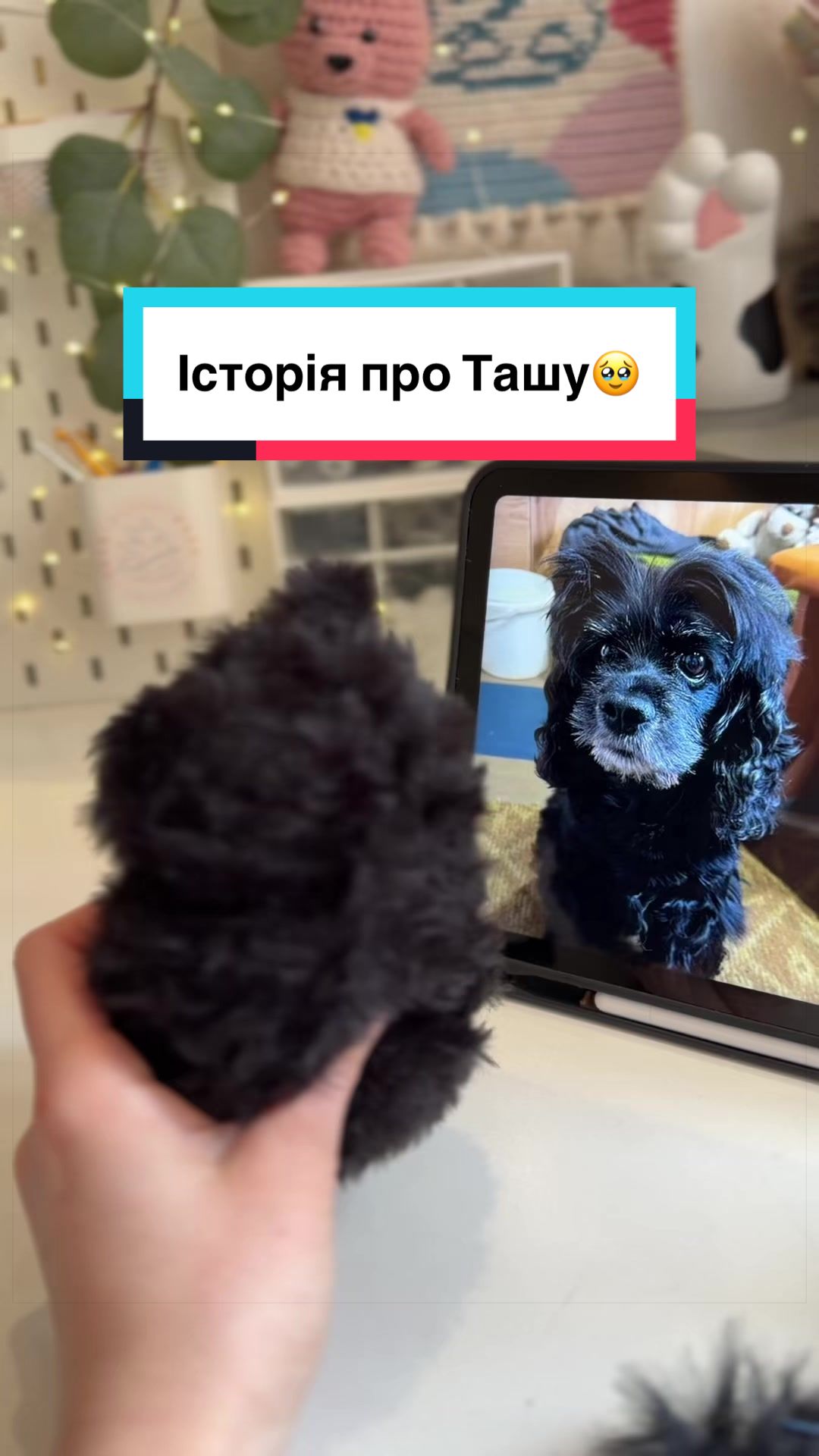 @З вами Даша✌🏻