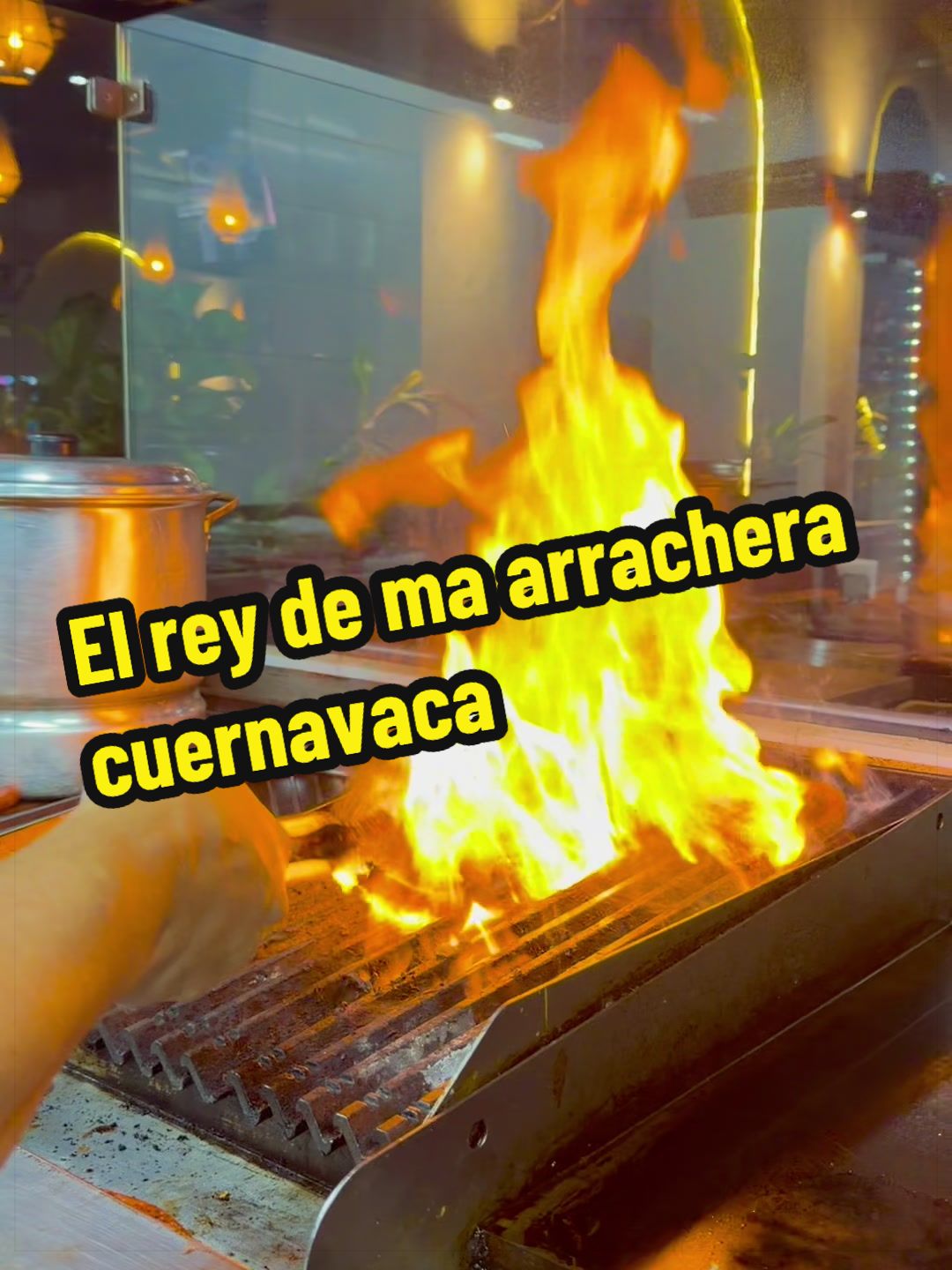 @elbauldemorelosoficial