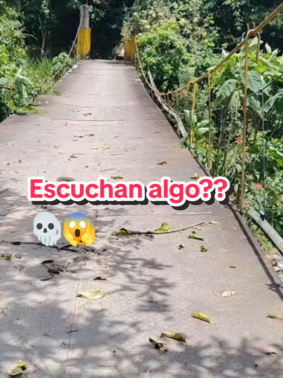 @Lorena Escobar
