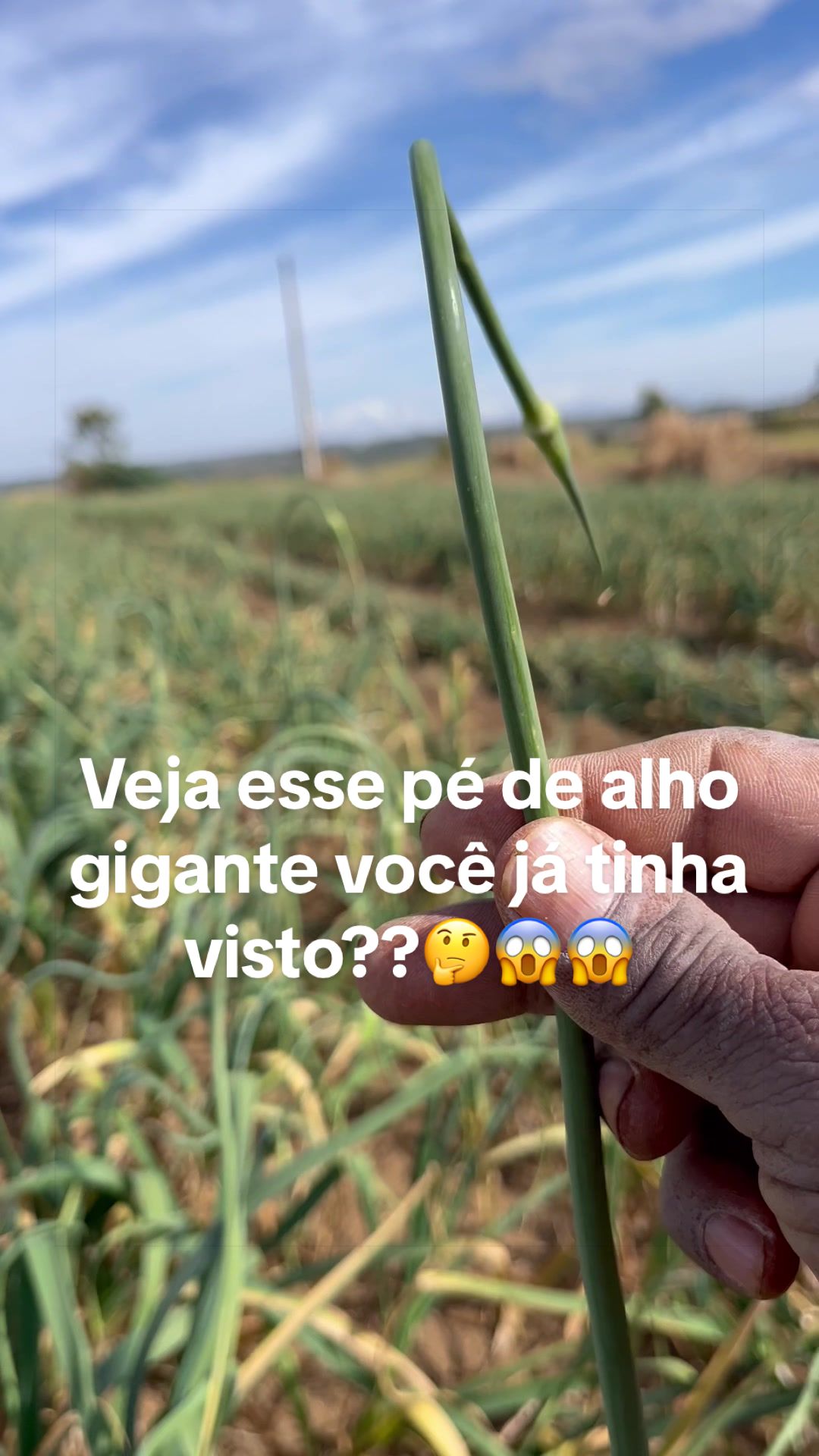 @Anael