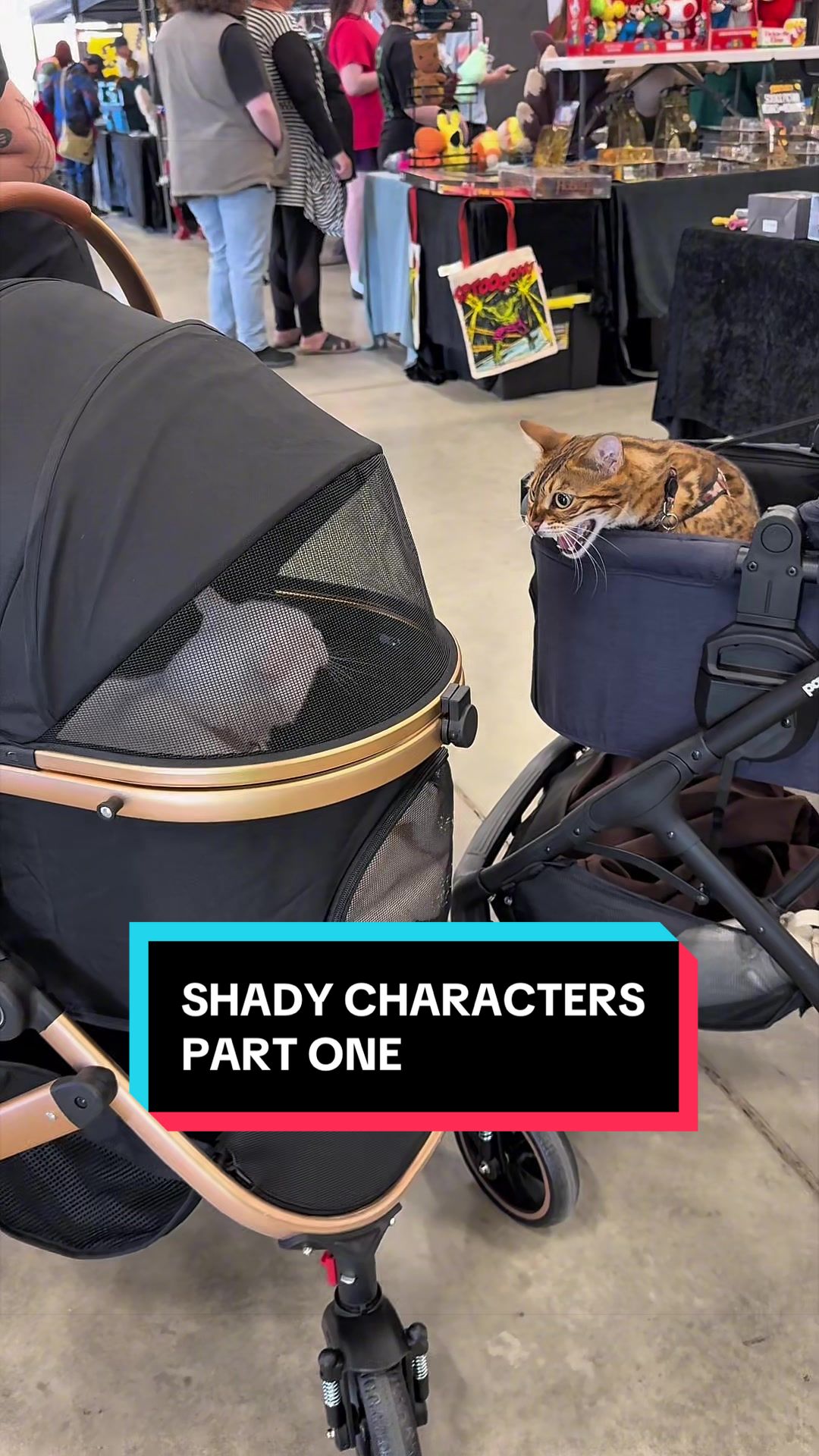 @Skeeter The Bengal