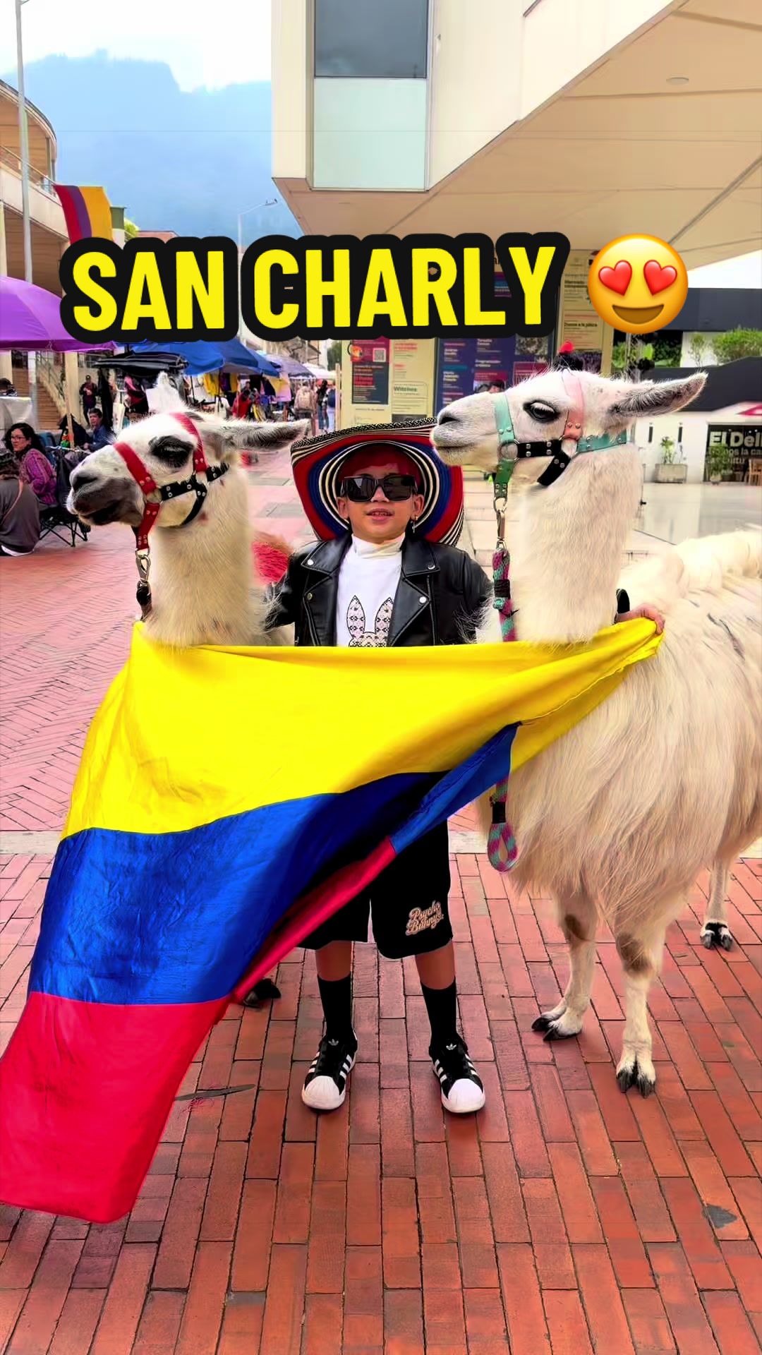 @junicelfamosobaby