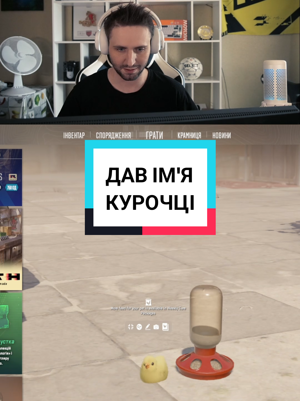 @ArabesqaTV | Стрімер CS2