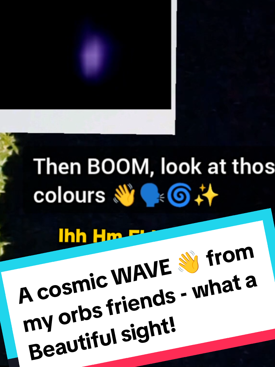 @Don't Pet UFOlogy 🛸✨