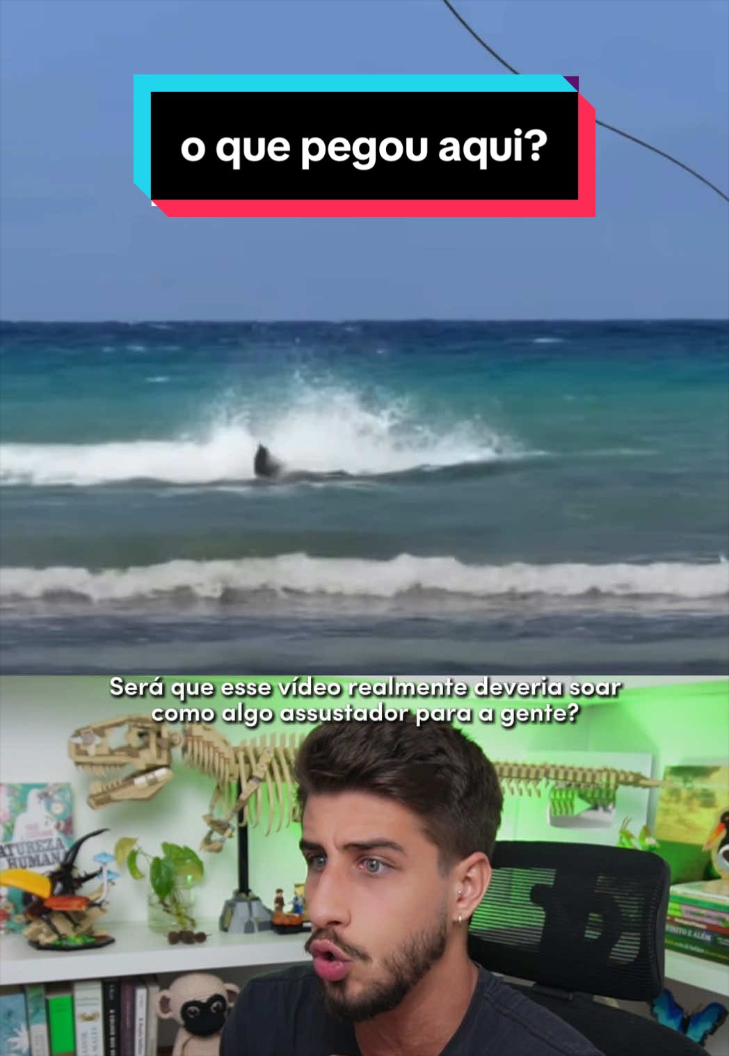 @Yago Stephano