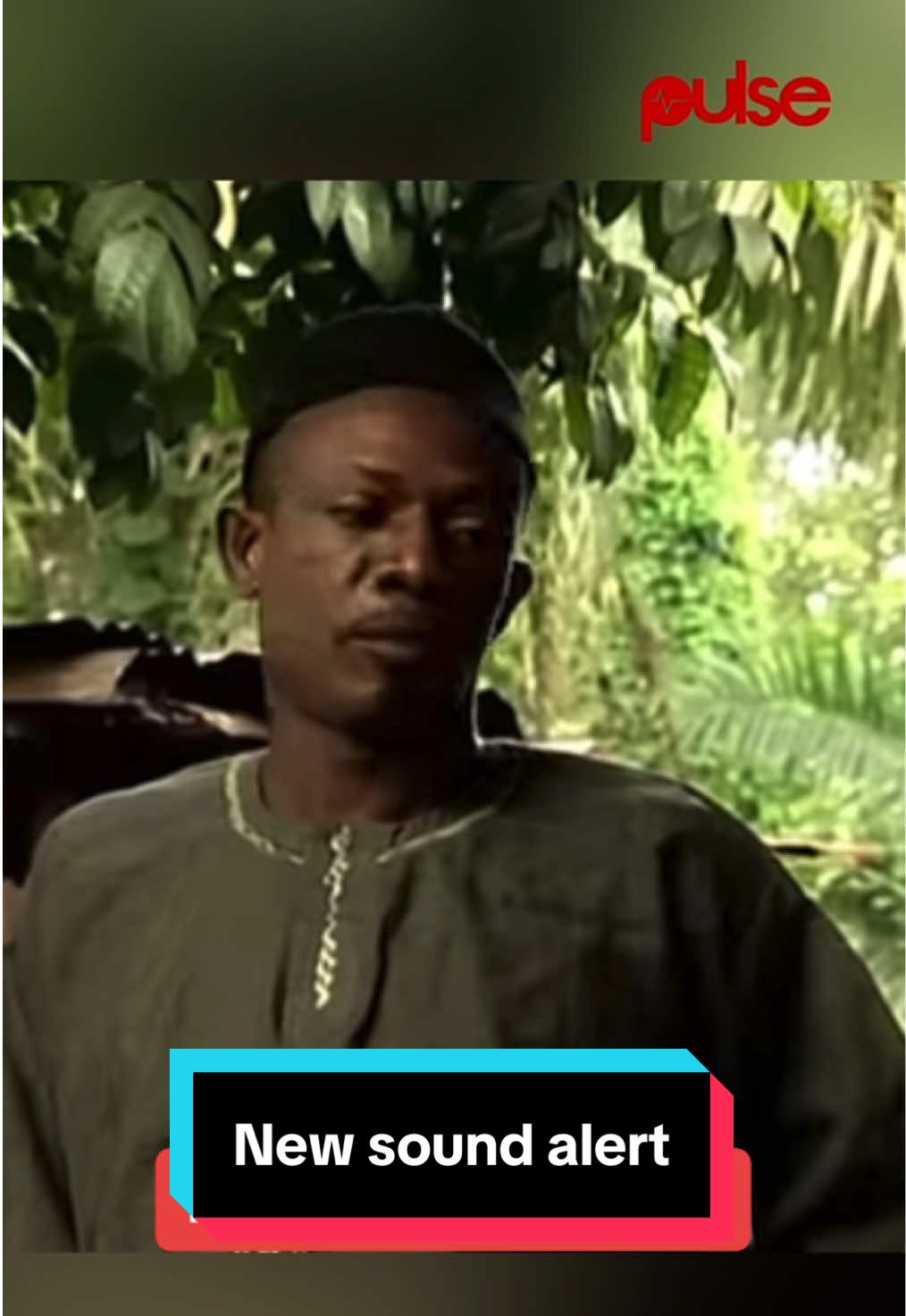 @Pulse Nigeria