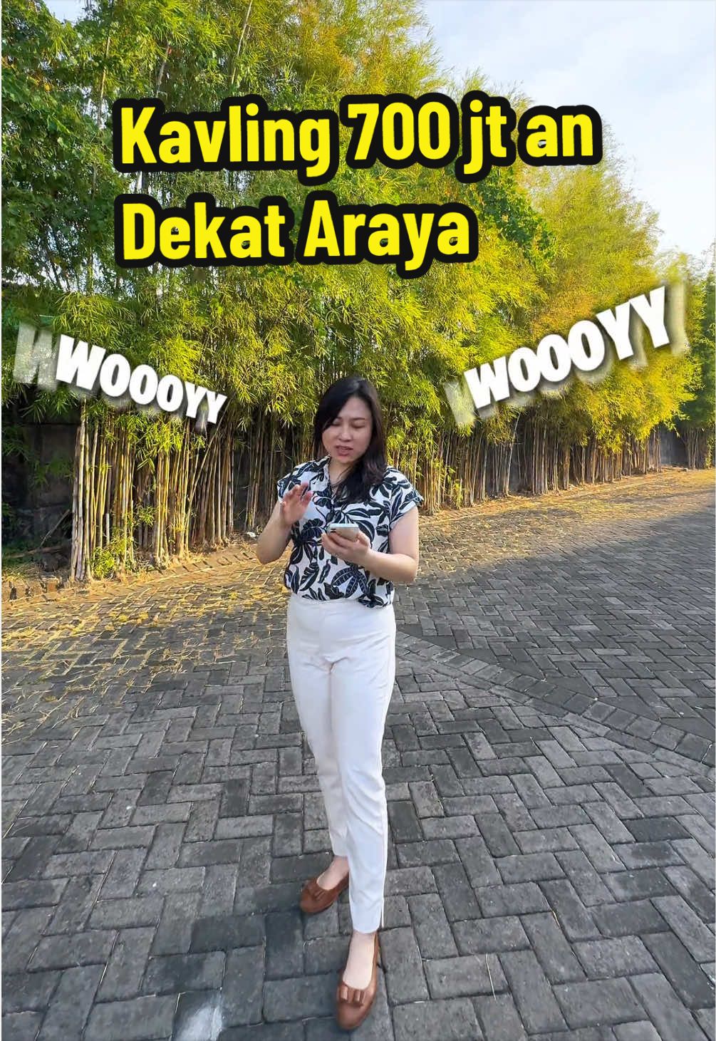@febry xavier