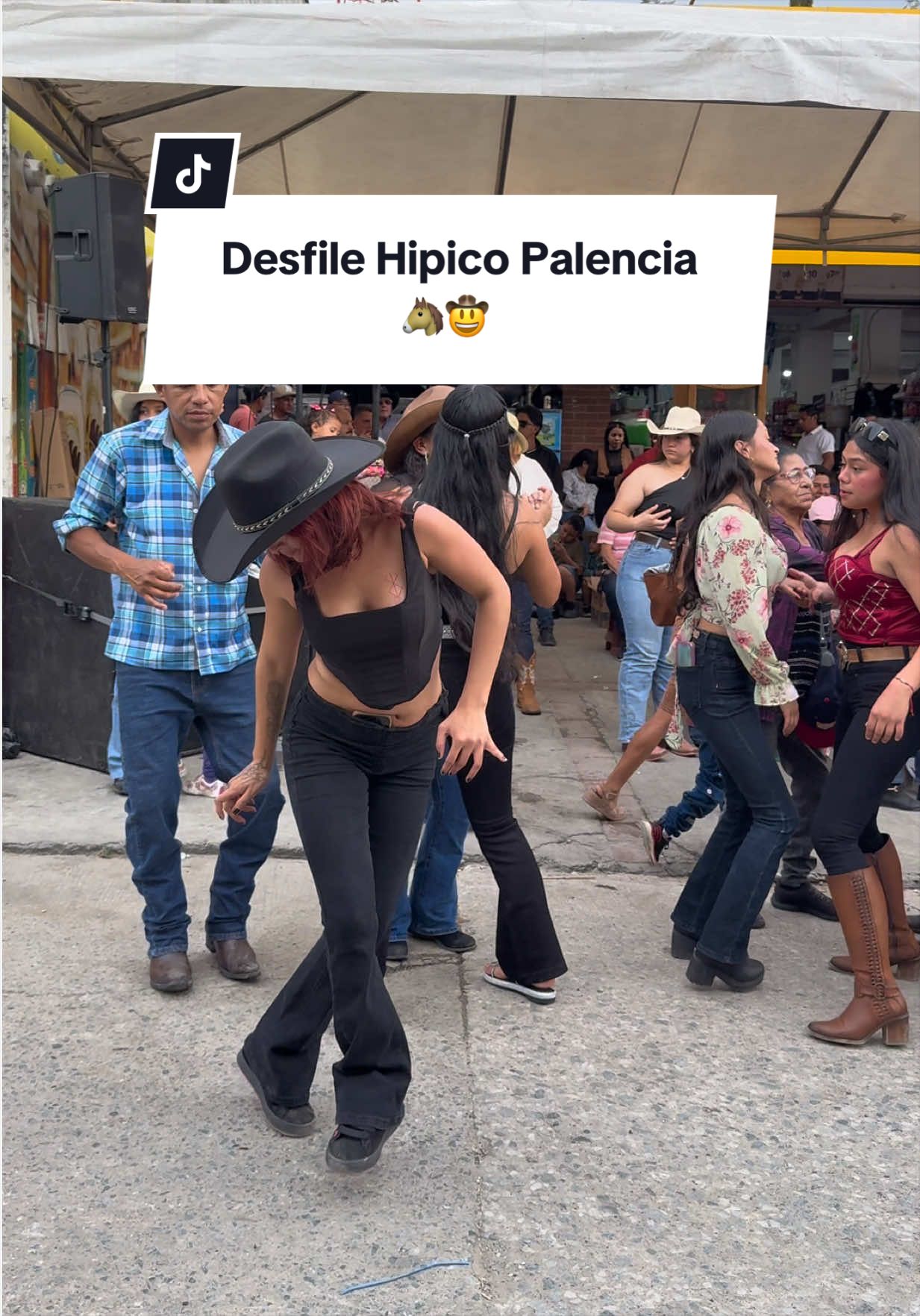 @reydelcaballo.gt