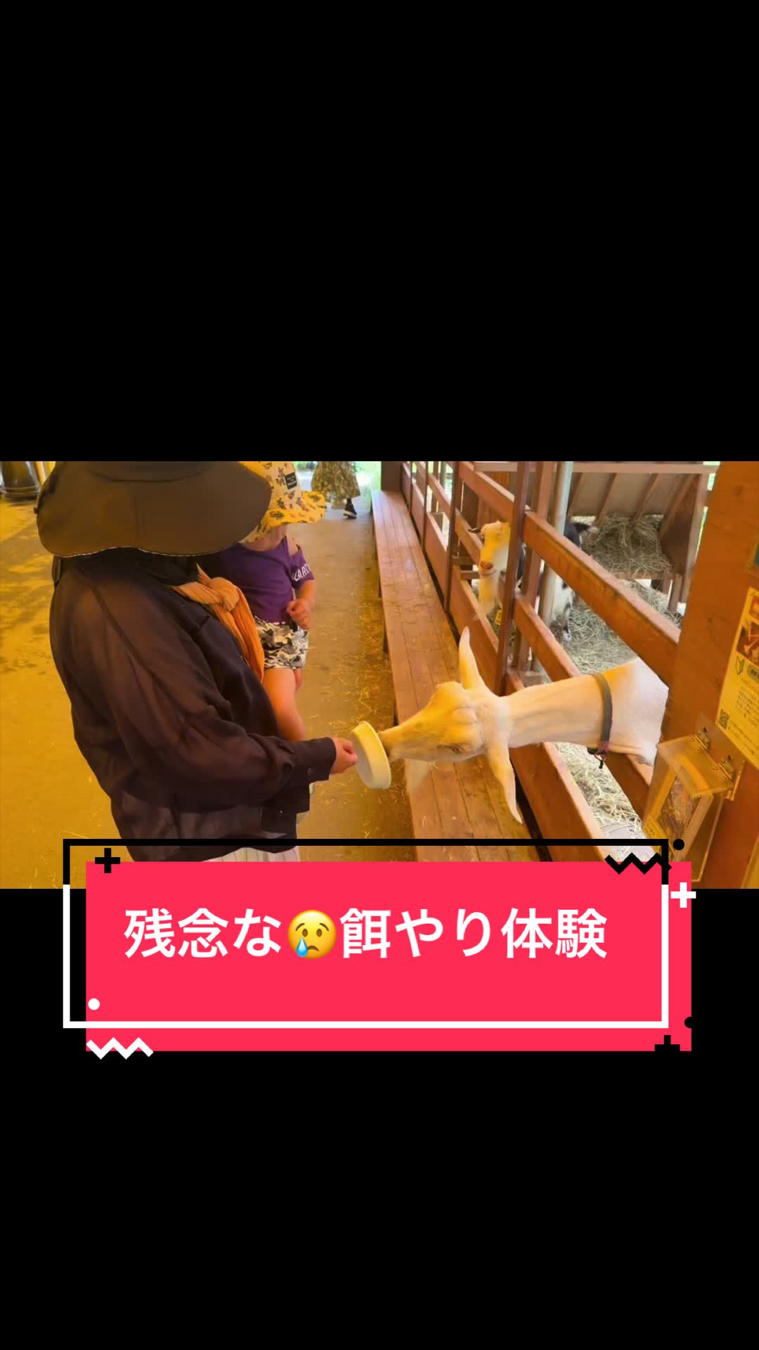 @カンキツ