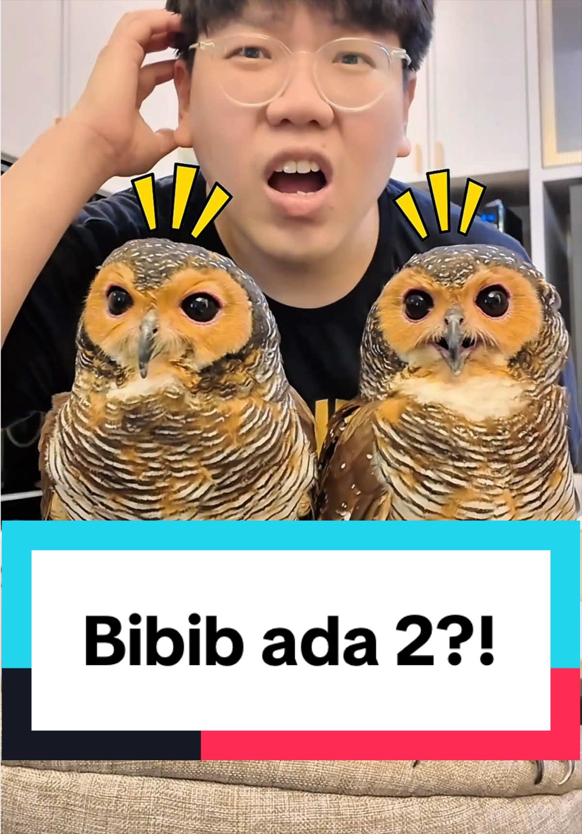 @Bibib Family