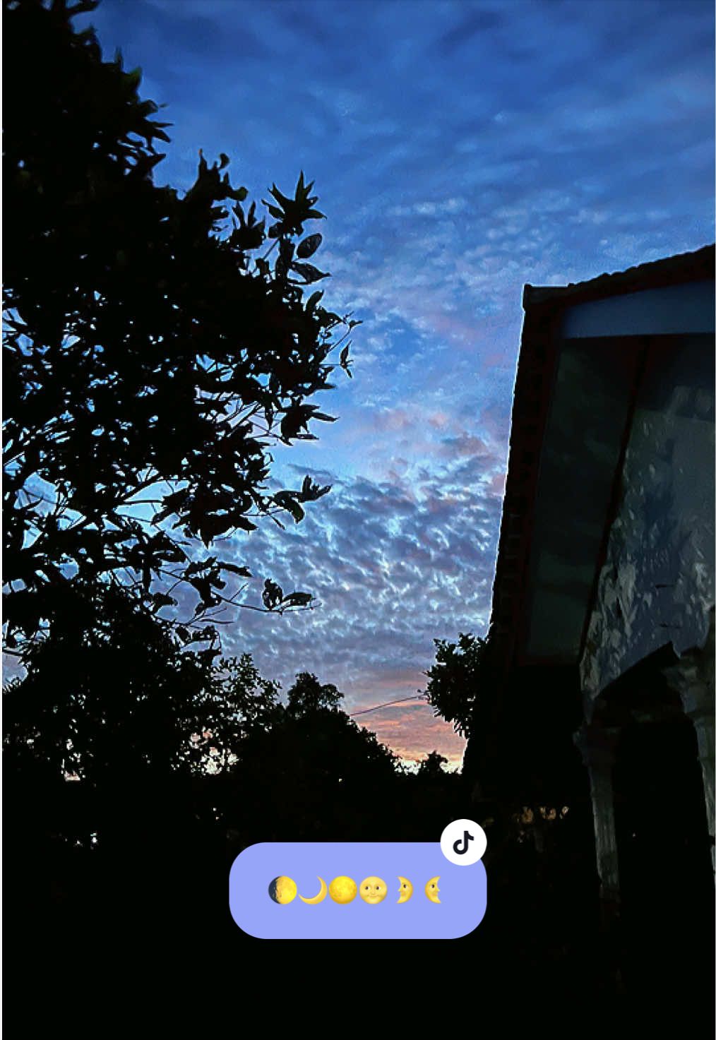 @𝐙𝐀𝐘𝐍 𝐇𝐄𝐈𝐙𝐇