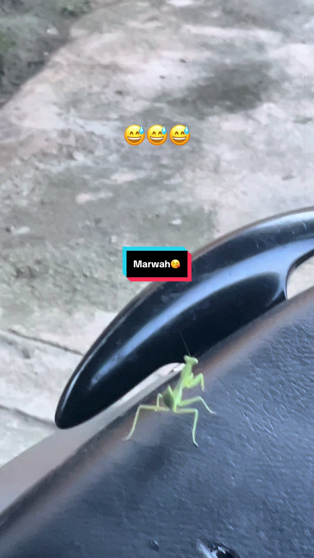 @marwah_9104