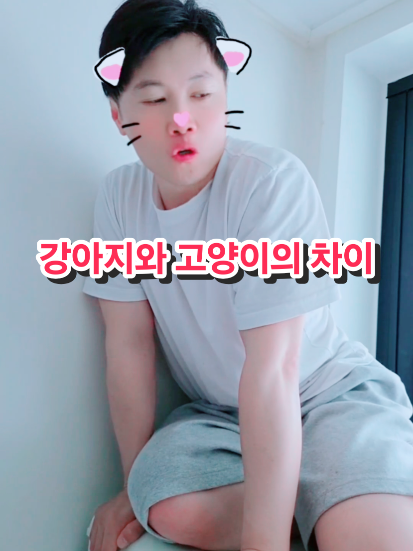 @태권히어로