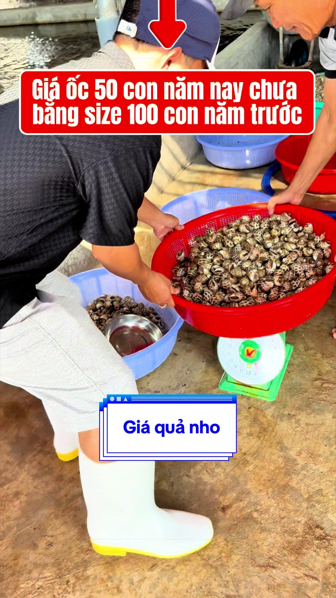 @Mr Qu&acirc;n