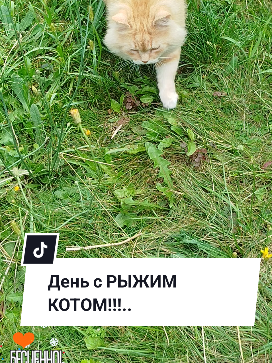 @IRINA