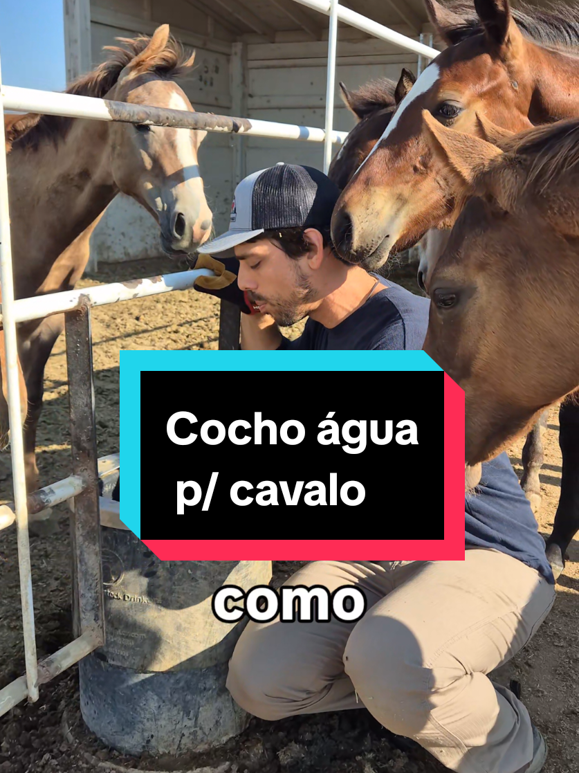 @Olavo Franco Bottino
