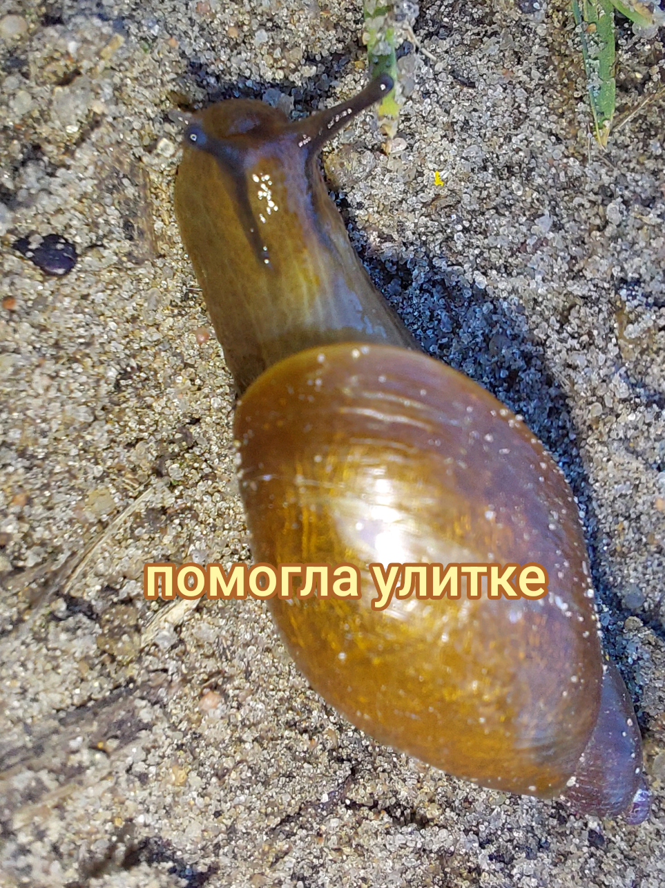 @Рыся✔️🇧🇾