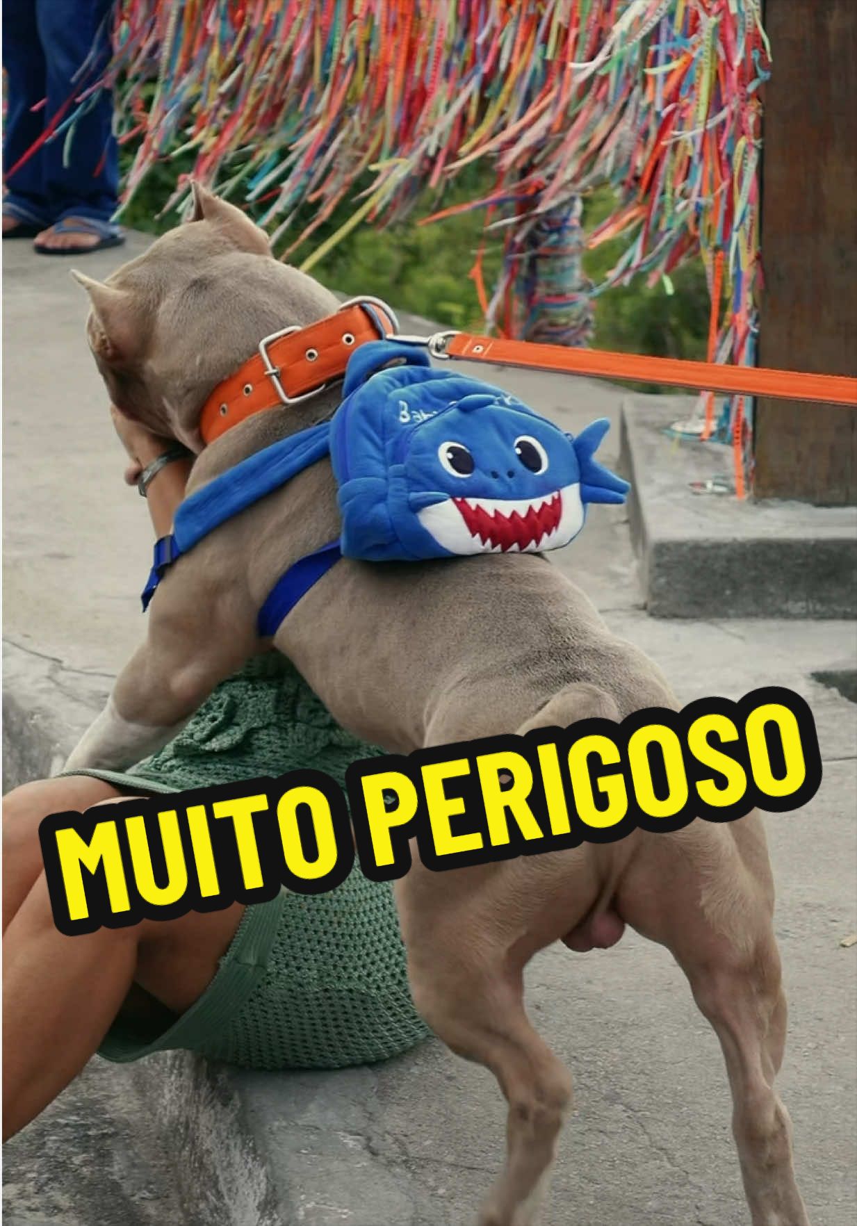 @Fam&iacute;lia Ragnar 🐶