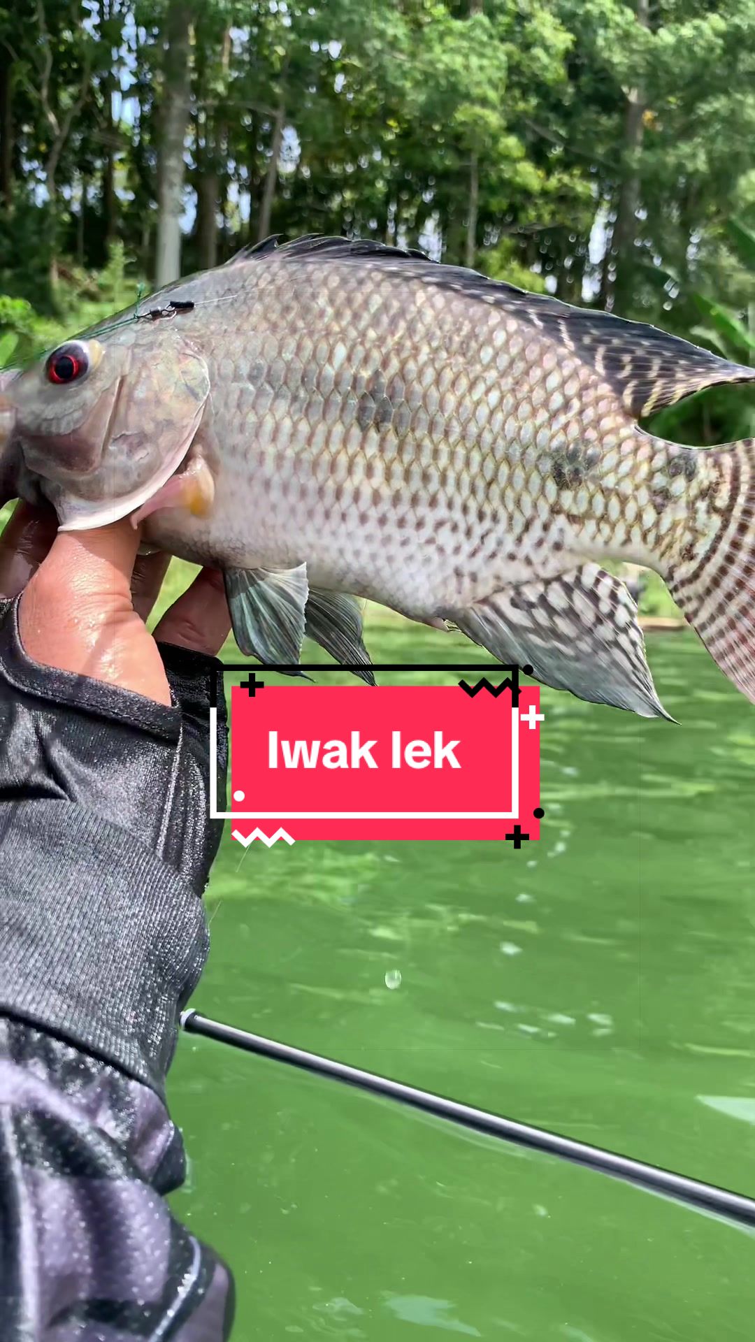 @MAFIA FISHING