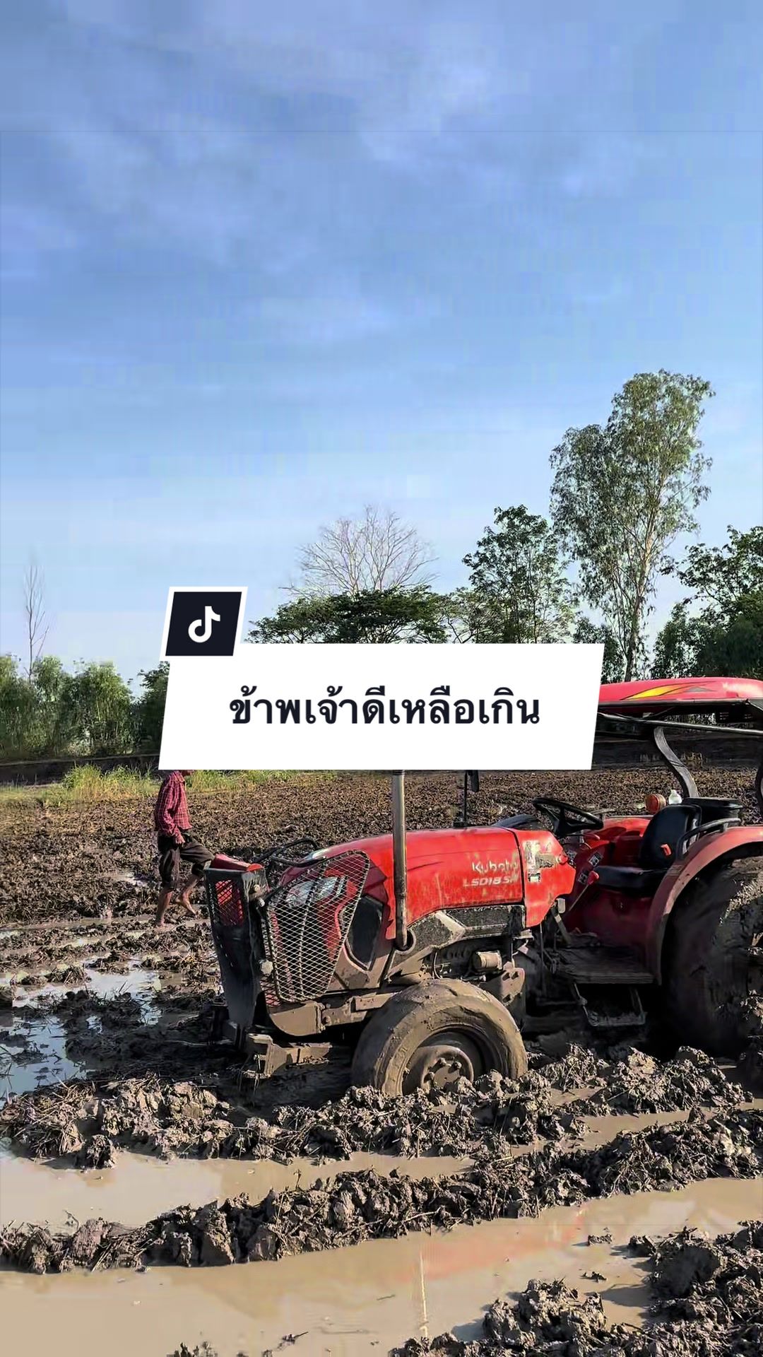 @อาเฮียหลี อาหลีเฮีย