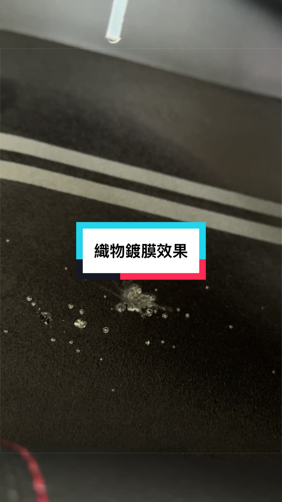 @邦尼洗車