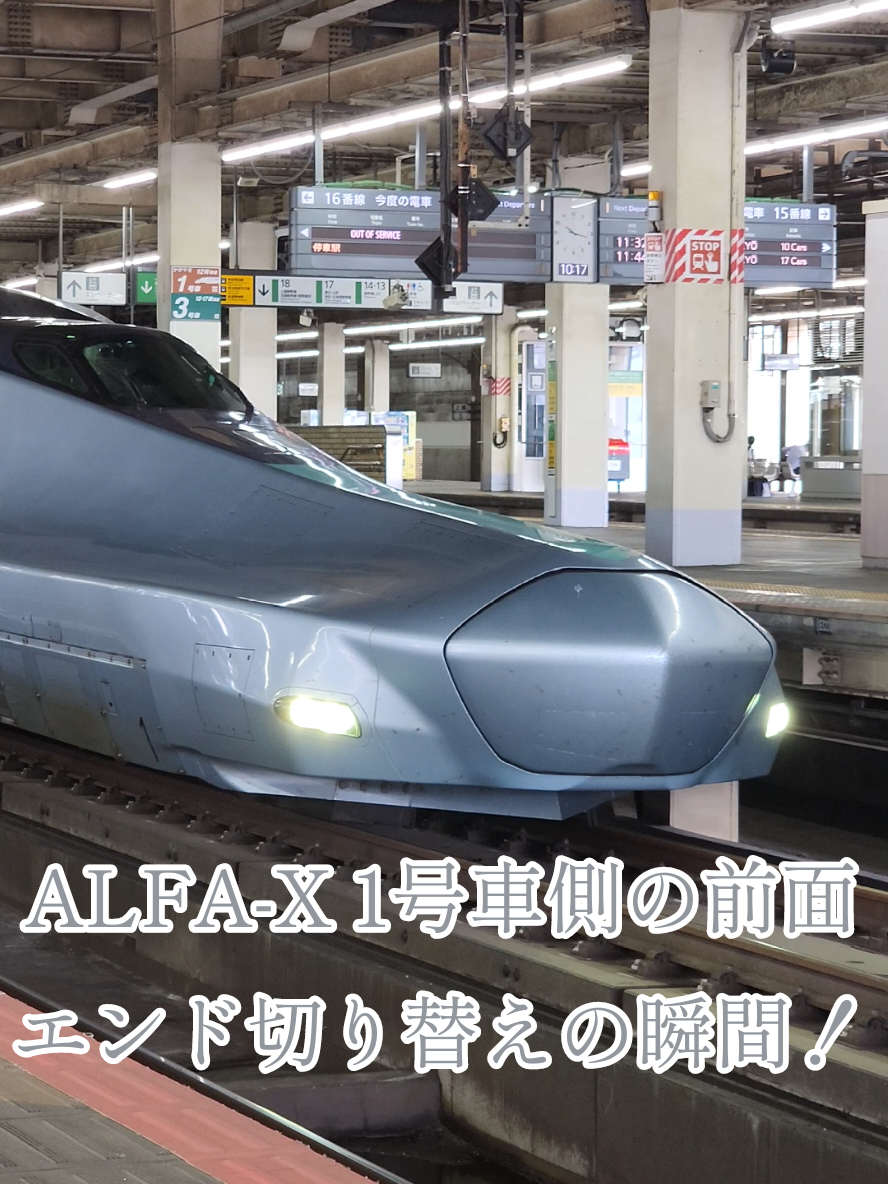 @🚅佐野武琉🚄✨