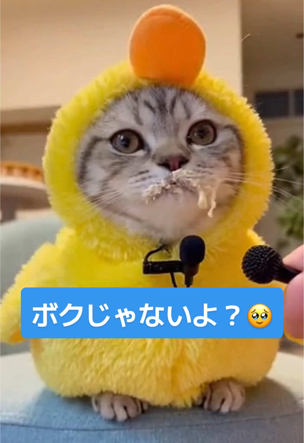 @にゃん玉