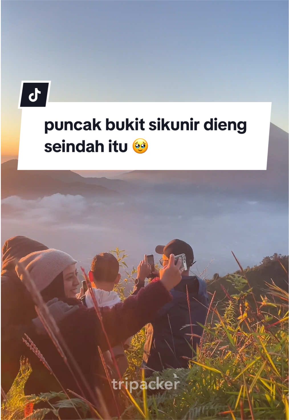 @Tripacker