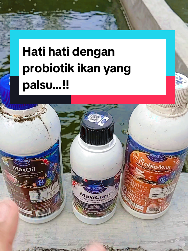 @Kang_Ewi