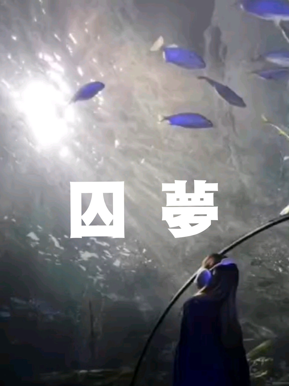 @#Anna情感音樂MV
